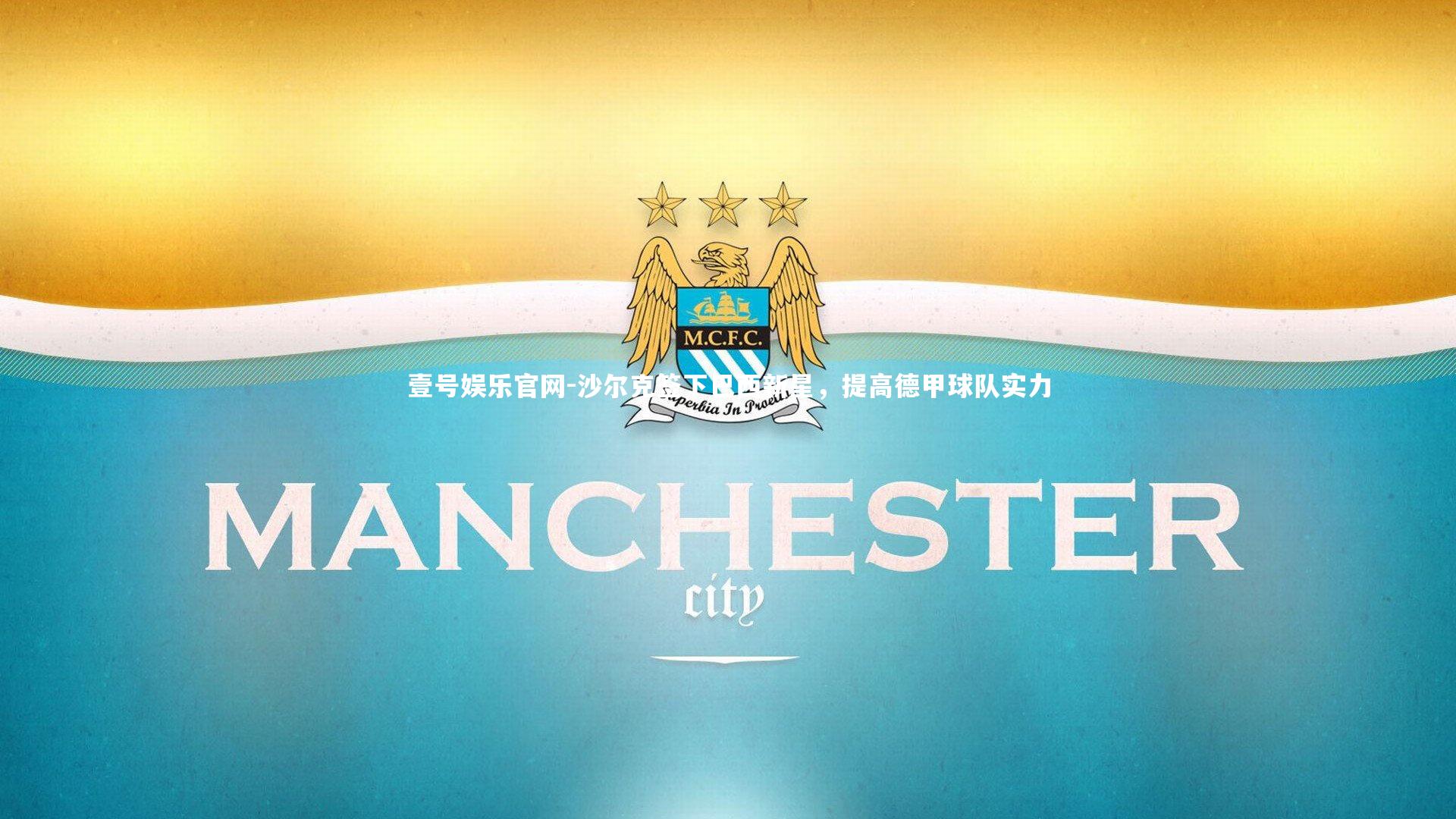 沙尔克签下巴西新星，提高德甲球队实力